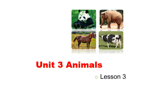 2018年人教版新起点英语五年级上册 Unit 3《Animals》(Lesson 3)课件