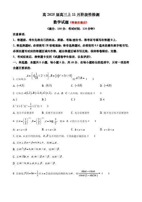 重庆市2024-2025学年高三上学期11月阶段性检测数学试题含答案