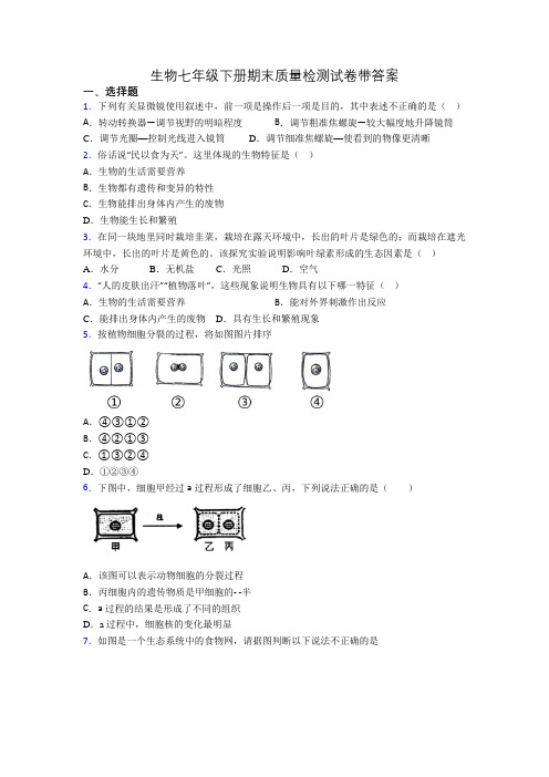 生物七年级下册期末质量检测试卷带答案