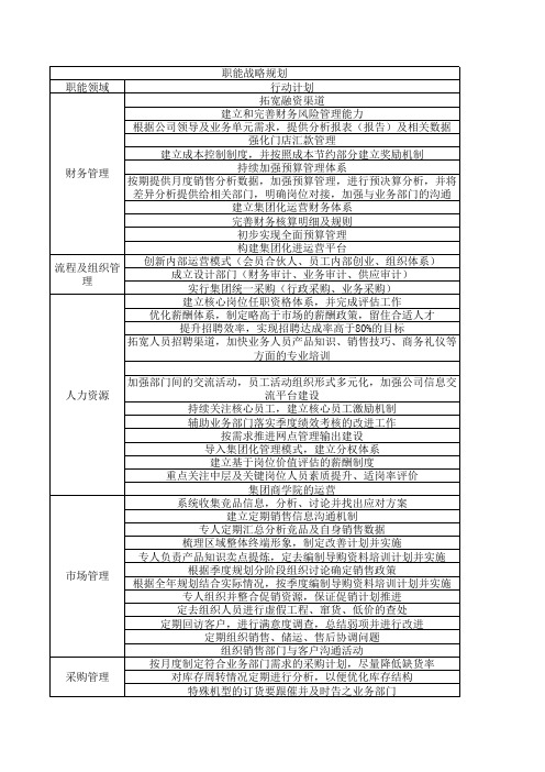 企业职能战略规划