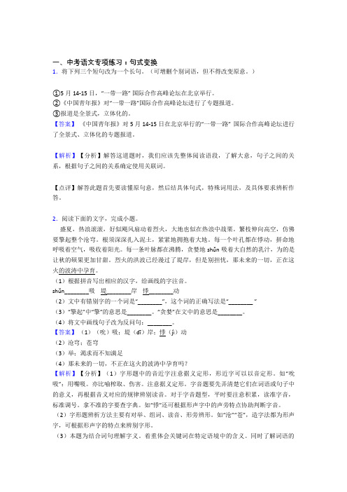 新部编初中中考 语文句式变换训练试题及解析