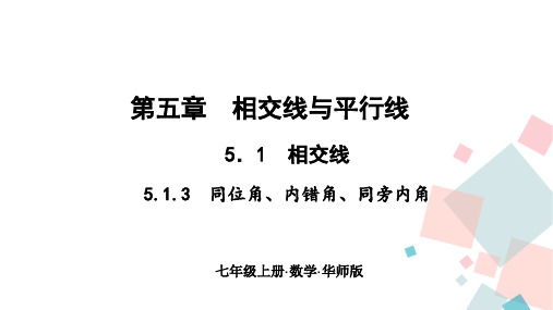 数学华东师大版七年级上册5.1.3同位角、内错角、同旁内角作业PPT课件