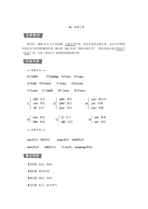 2022年部编版语文《孤独之旅  》考点与同步练习附答案