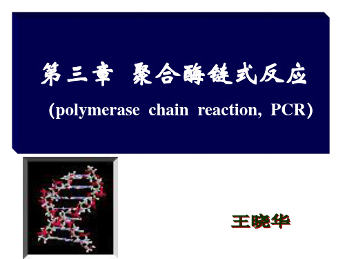 聚合酶链式反应-2011 分子生物学