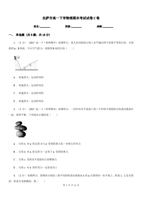 拉萨市高一下学物理期末考试试卷C卷