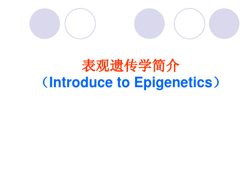 表观遗传学简介课件