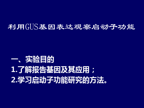 利用GUS基因表达观察启动子功能b