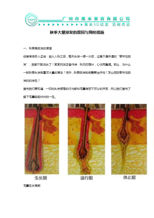 秋季大量掉发的原因与预防措施