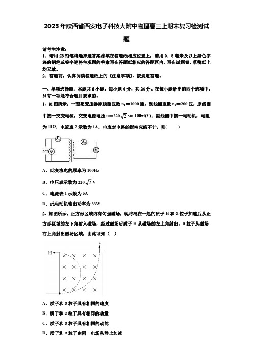 2023年陕西省西安电子科技大附中物理高三上期末复习检测试题含解析