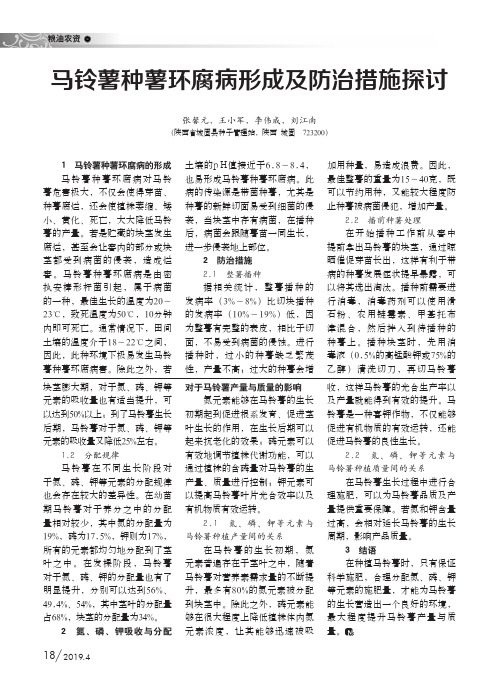 马铃薯种薯环腐病形成及防治措施探讨