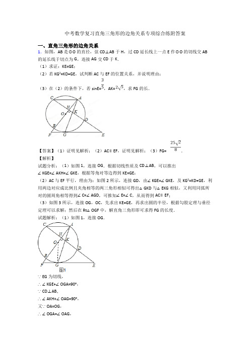 中考数学复习直角三角形的边角关系专项综合练附答案