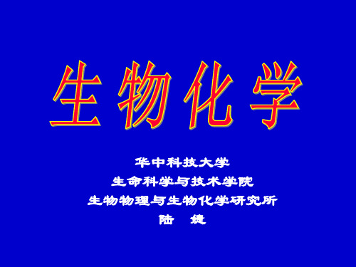 20章-TCA循环