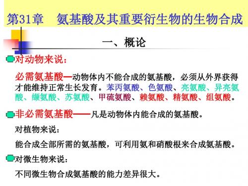 氨基酸及其重要衍生物的生物合成