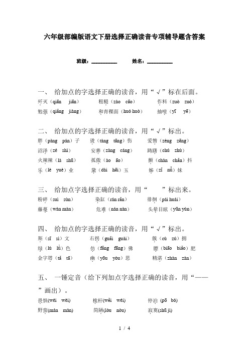 六年级部编版语文下册选择正确读音专项辅导题含答案