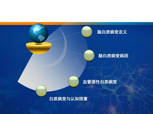 脑白质病变