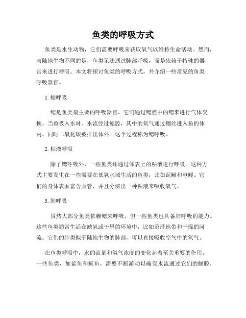 鱼类的呼吸方式