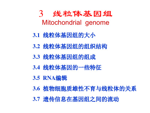 分子生物学第03章线粒体基因组