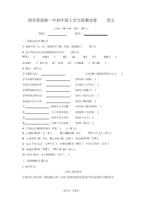 西安某高新一中初中部入学分班测试卷语文(2)(含答案及解析)(2021年-2022年)