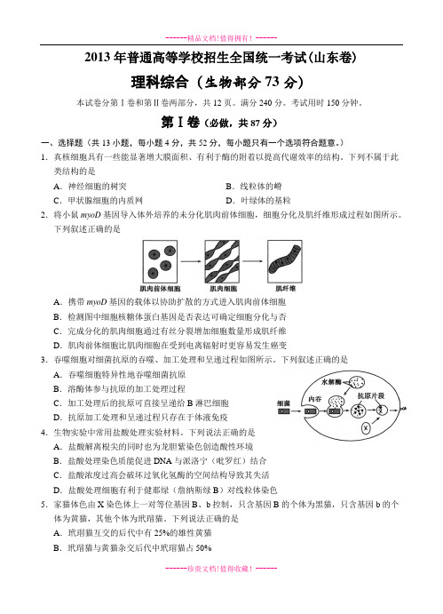 高考理综生物试卷及答案(山东卷)