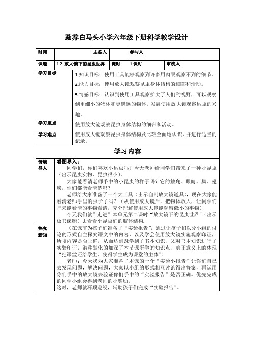 六年级下册科学教案 -1.2 放大镜下的昆虫世界｜教科版