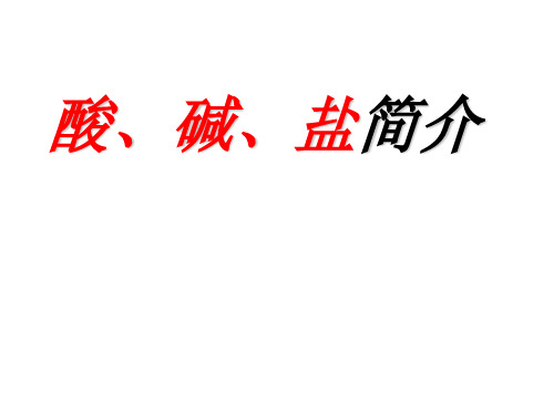 九年级科学酸碱盐简介(新编201912)