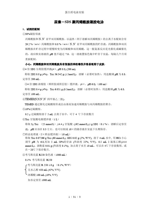 蛋白质电泳实验