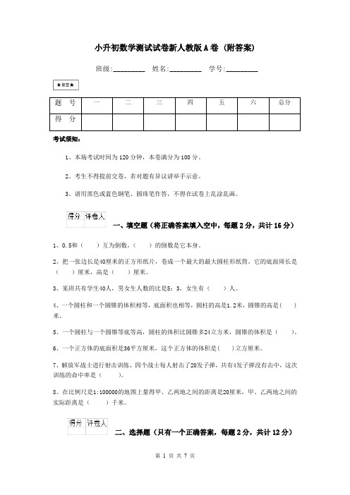 小升初数学测试试卷新人教版A卷 (附答案)