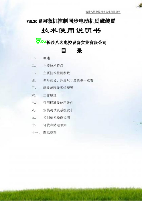 长沙八达微机全数字励磁装置说明书