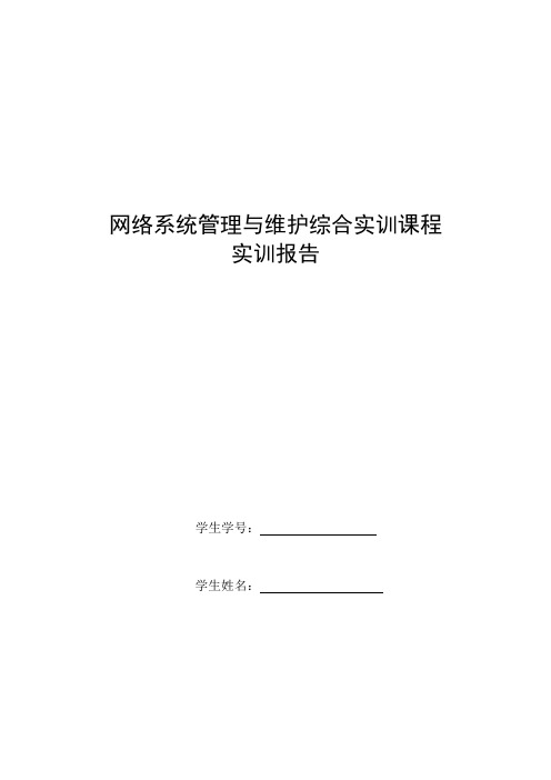 网络系统管理与维护实训报告