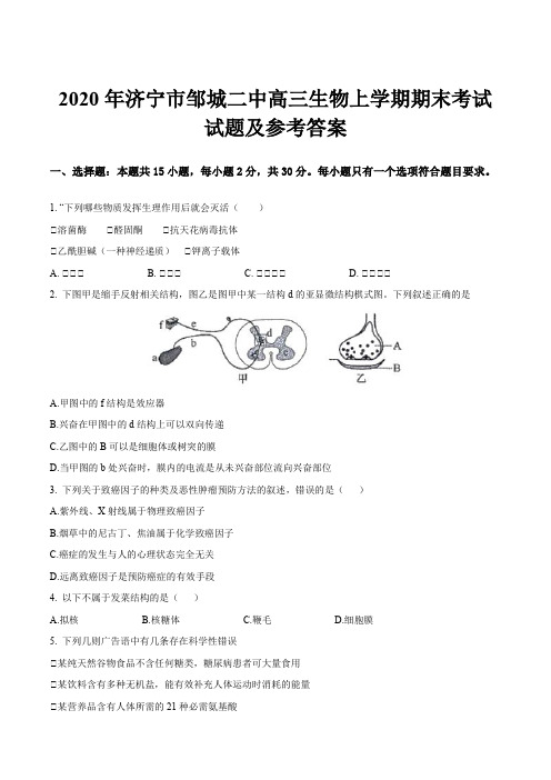 2020年济宁市邹城二中高三生物上学期期末考试试题及参考答案