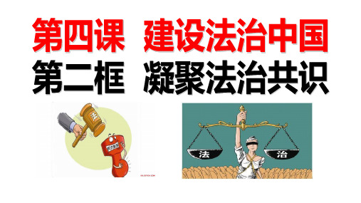 人教版道德与法治九年级上册 4.2  凝聚法治共识  ( 共22 张PPT)