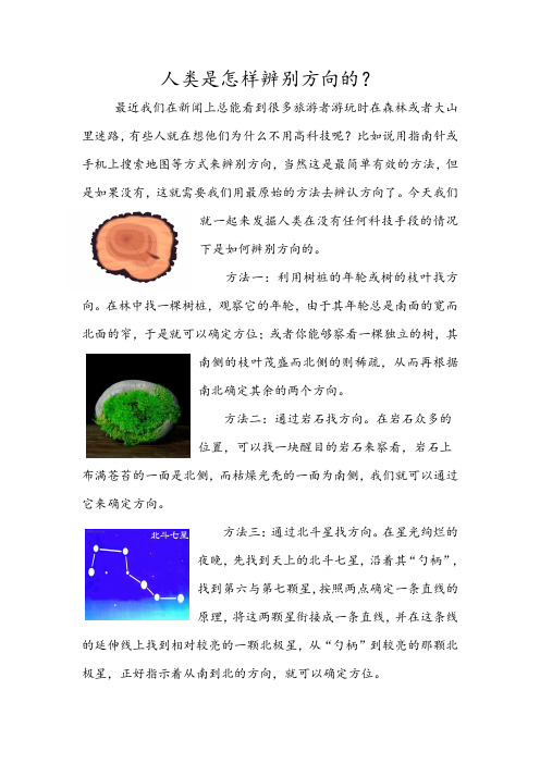 人类是怎样辨别方向的