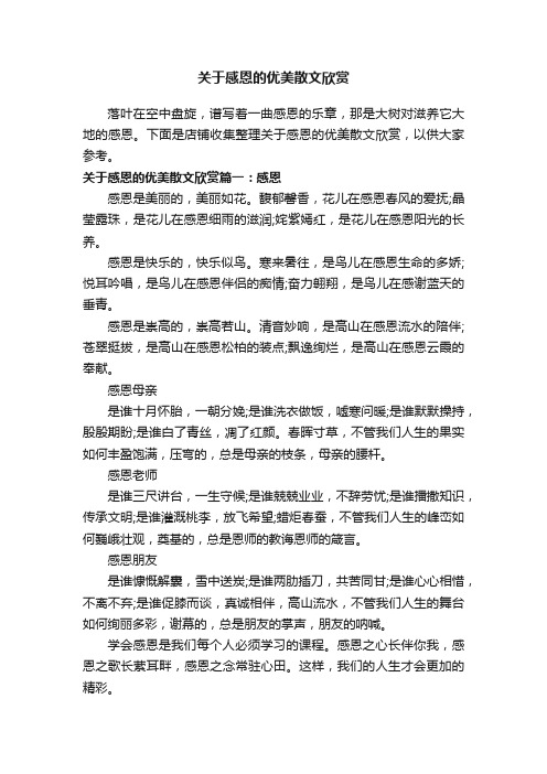 关于感恩的优美散文欣赏