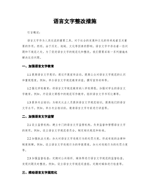 语言文字整改措施