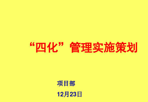 “四化”管理实施策划