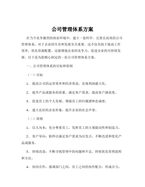 公司管理体系方案