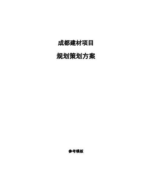 成都建材项目规划策划方案