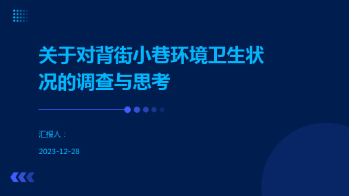 关于对背街小巷环境卫生状况的调查与思考