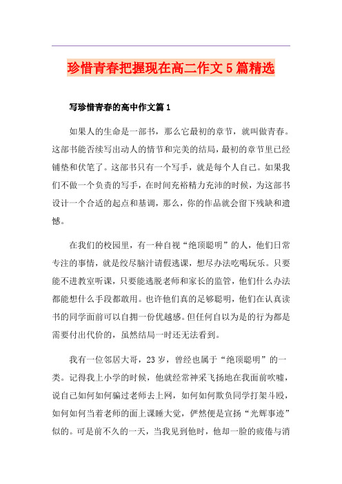 珍惜青春把握现在高二作文5篇精选