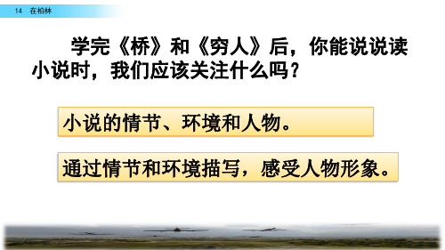 部编语文六年级上册14 在柏林