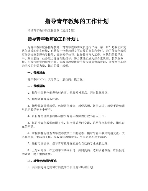 指导青年教师的工作计划