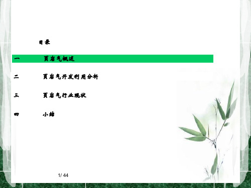 页岩气调研报告