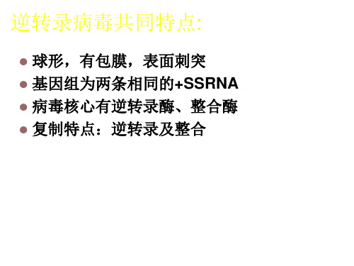 逆转录病毒 反转录病毒