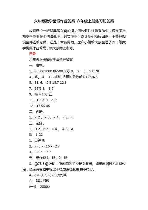 六年级数学暑假作业答案_六年级上册练习册答案