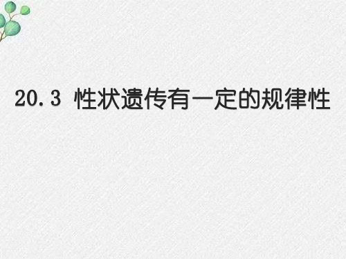 新北师大版八年级生物上册《性状遗传有一定的规律性》ppt教学课件