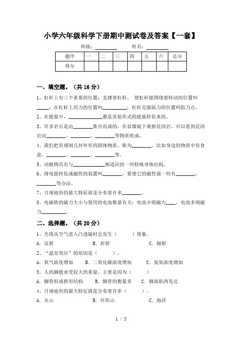 小学六年级科学下册期中测试卷及答案【一套】