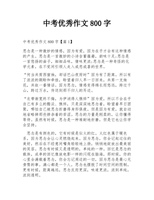 中考优秀作文800字