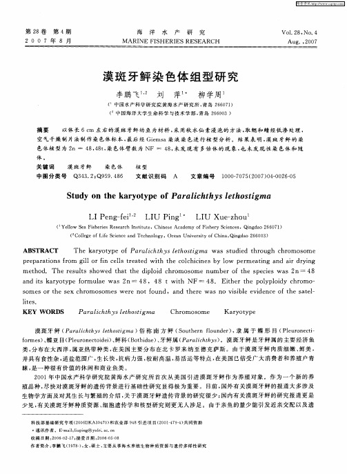 漠斑牙鲆染色体组型研究