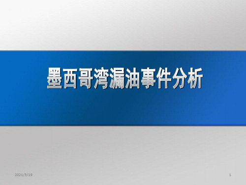 墨西哥湾原油泄漏事件案例分析