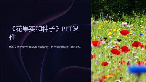 《花果实和种子》课件